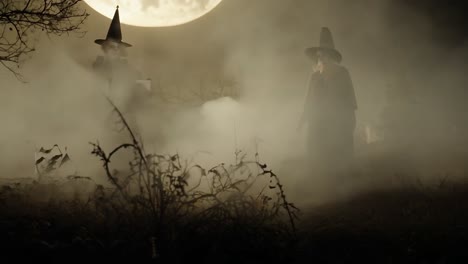 two witches standing in a foggy forest on halloween night