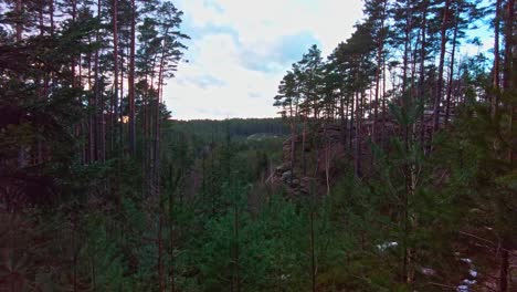 view of the landscape and the sunset from a rocky place with a forest, toulovcovy maštale - czech republic