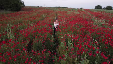 Luftaufnahme-Einer-Jungen-Frau,-Die-Blumen-Auf-Einem-Mohnfeld-Sammelt