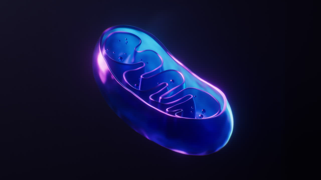 미토콘드리아와 어두운 네온 빛 효과, 3d 렌더링