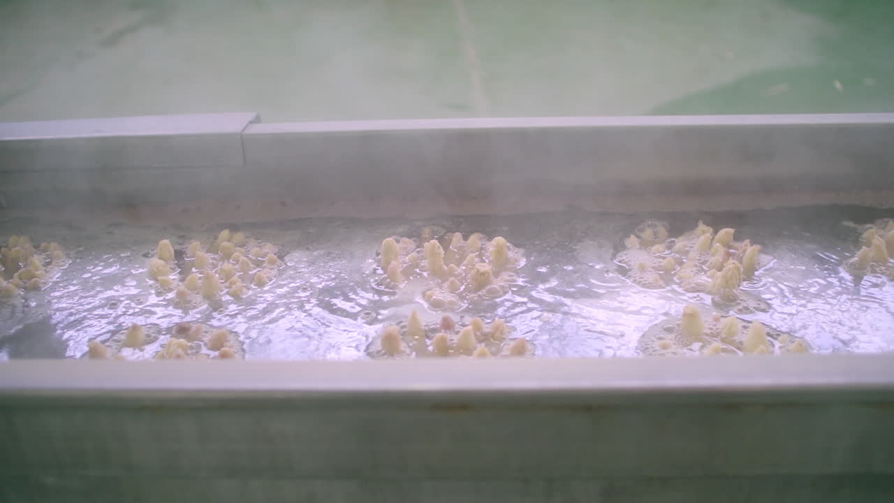 Industrial Boiling Process of Small Food Items