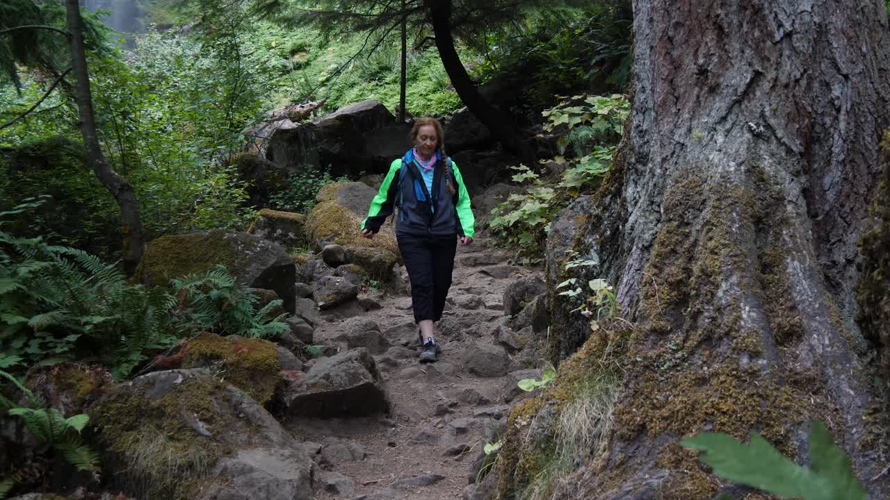 은퇴한 여성이 태평양 북서쪽의 거대한 나무 옆에 있는 바위 오솔길을 따라 하이킹을 하고 있습니다.
