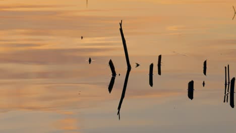 Bunte-Sonnenuntergangsreflexion-Auf-Dem-Wasser-An-Einem-See-Während-Des-Sonnenuntergangs