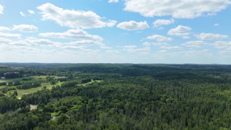 aerial flyover of lush caledon forest with dense green treetops under summer sky