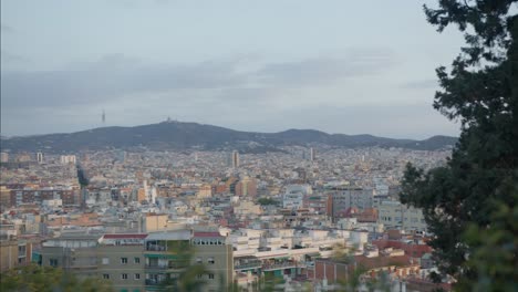 Vista-De-Alta-Resolución-A-Través-De-árboles-Escénicos,-De-Izquierda-A-Derecha,-El-Horizonte-De-La-Ciudad-De-Barcelona-España-Con-Amanecer-Dorado-En-6k-Mientras-Los-Pájaros-Vuelan