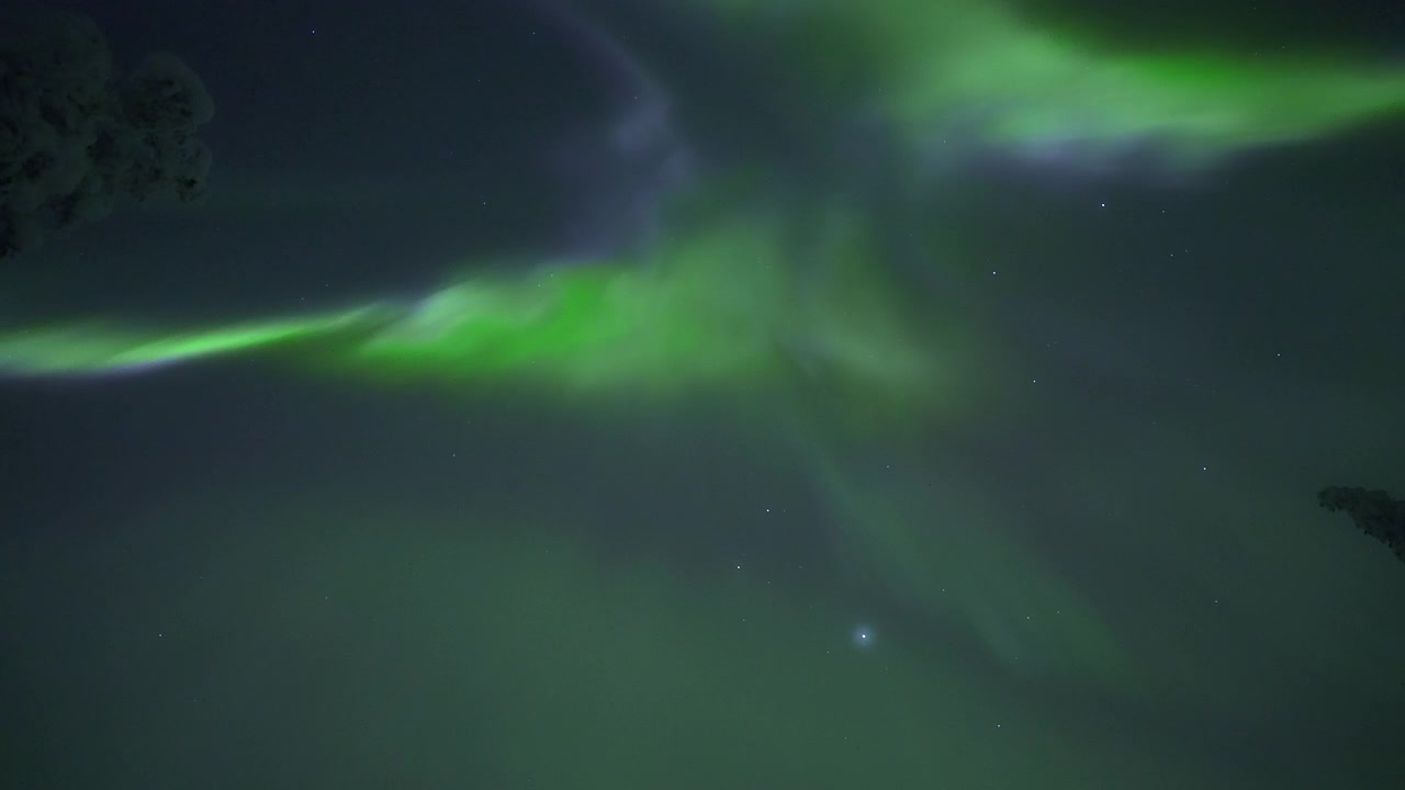 Aurora Boreale Verde e Viola Danzante nel Cielo Notturno