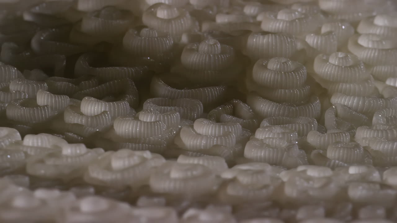 Close-up of Intricate White Repeating Structures