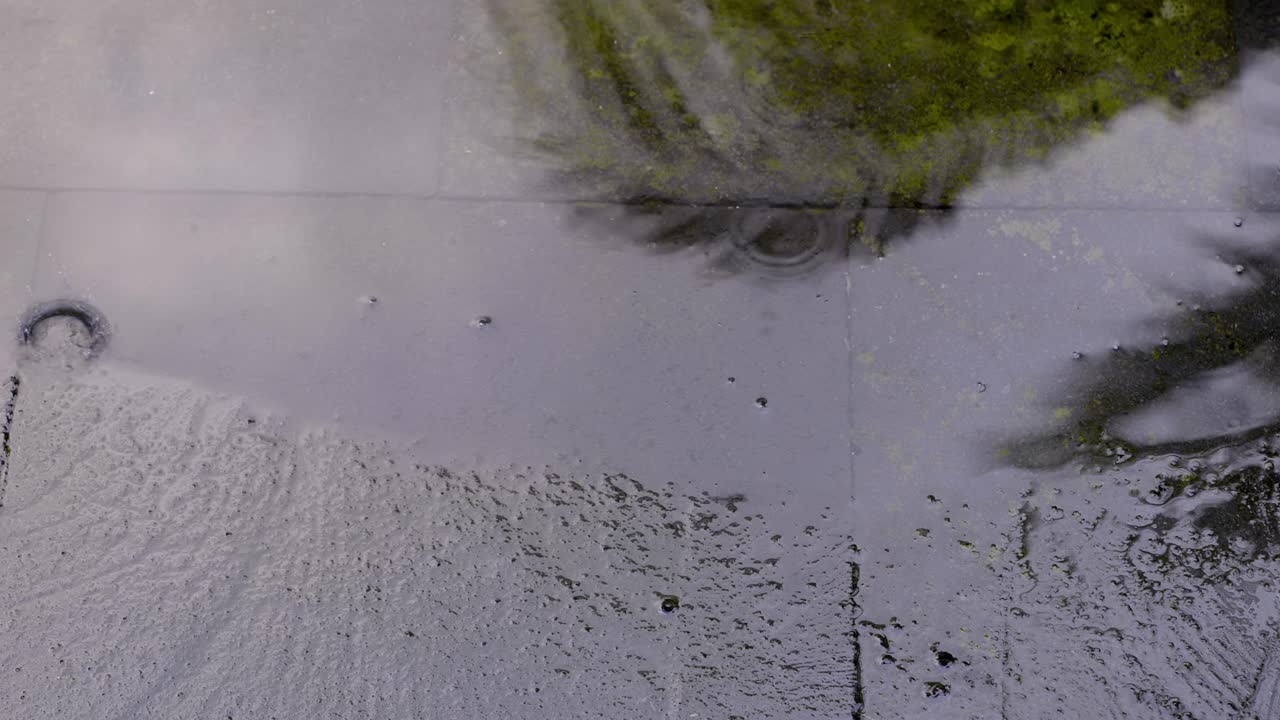 PUDDLE REFLECTION BLACK TILES WITH GREEN MOSS