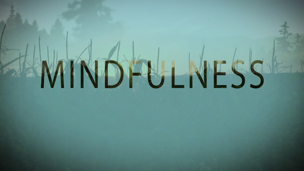 Animation of mindfulness text over low angle view of land with grass against trees of forest