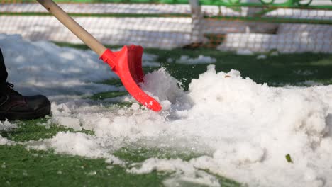 snow removal on grass