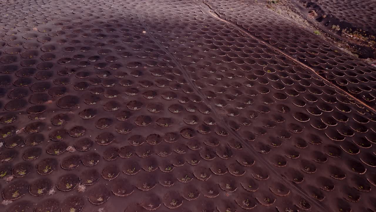 La Geria is a unique wine-growing region in Lanzarote, part of the Canary Islands, Spain, known for its striking landscape shaped by volcanic activity.