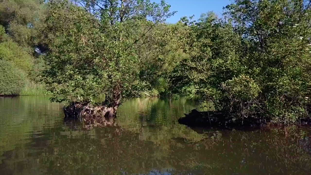 드론 충돌: 강의 덤불을 향한 공중 접근으로 물 속의 드론 충돌로 끝남