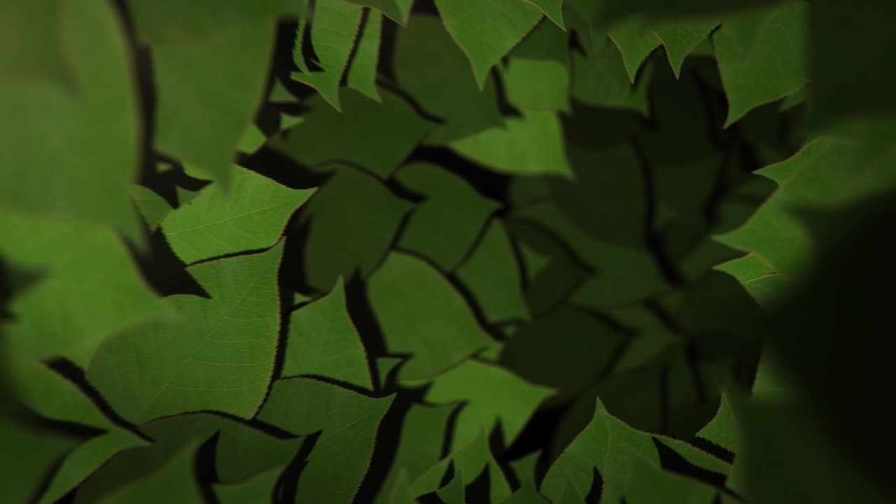 Nature Vortex of Leaves - Looping Background