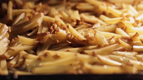cooking baked french fries in oven close up rack focus
