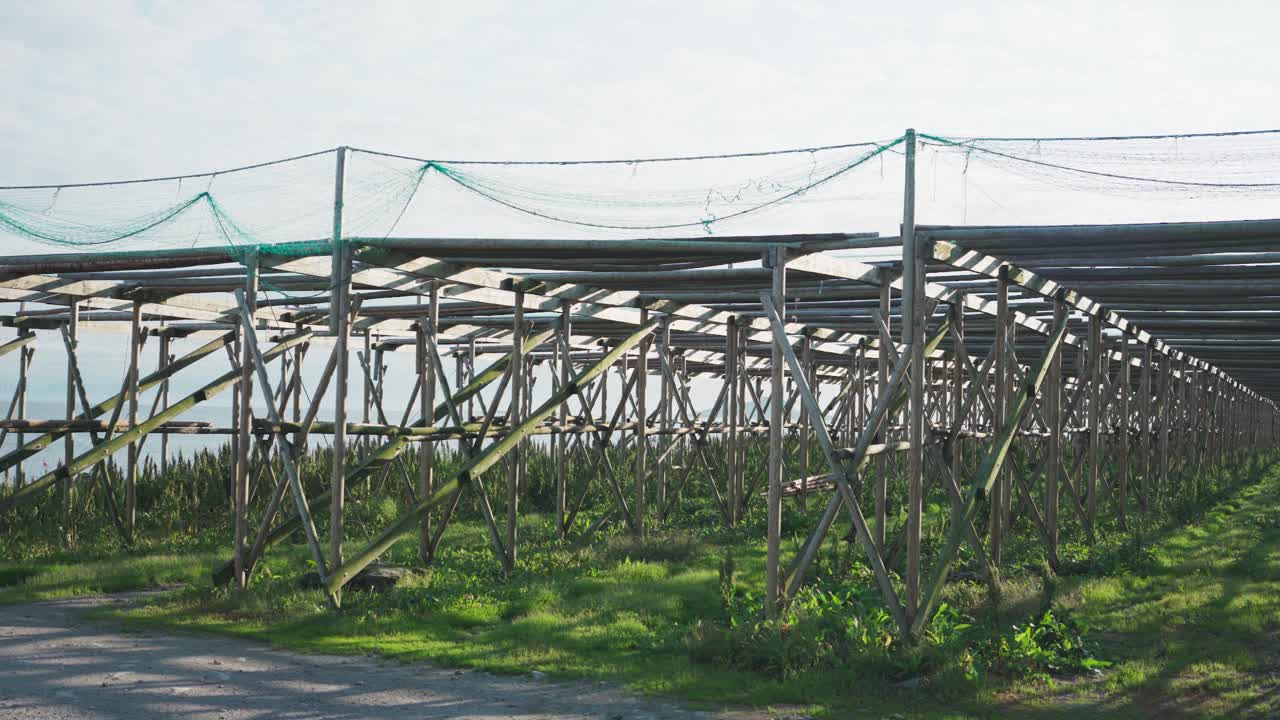 노르웨이 센자 (senja) 에 있는 고등어 건조기