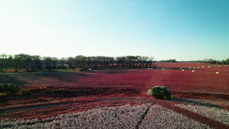 Recolector-De-Algodón-Girando-Al-Final-Del-Campo-Agrícola-Con-Una-Empacadora-De-Algodón-Verde-Detrás