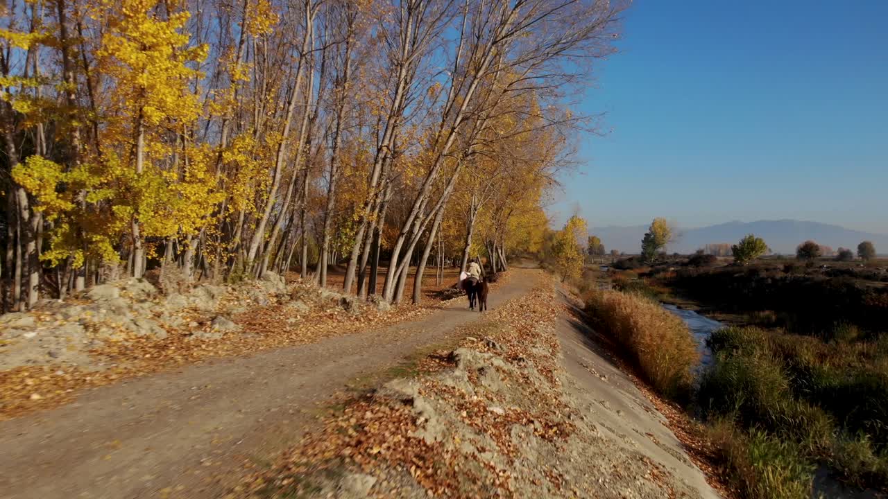 가을 화창한 날 강 옆에 포플러가 있는 아름다운 시골길에서 말을 타는 남자
