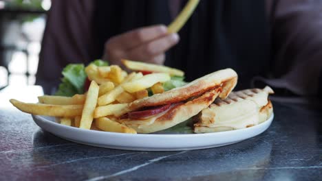 close up of a sandwich with french fries