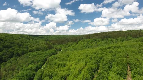 Volando-Sobre-El-Bosque-De-Verdún,-Hermoso-Cielo-Azul-Y-Nubes-Blancas.-Guerra-Mundial-1