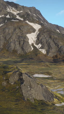 mountain landscape with snow and grass