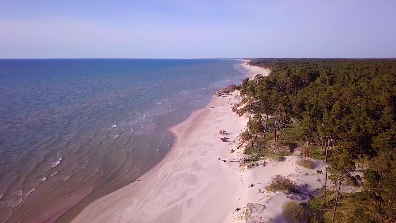 vista panorámica aérea de la costa del mar báltico en un día soleado, dunas empinadas a la orilla del mar dañadas por las olas, pinos rotos, erosión costera, cambios climáticos, tiro de drones de gran angular moviéndose a la derecha