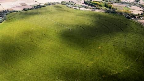 vista aérea del campo agrícola