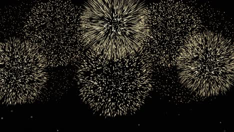 a dazzling fireworks show illuminating the night sky.