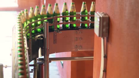 green bottles on conveyor belt. beer bottling machine working in brewery factory