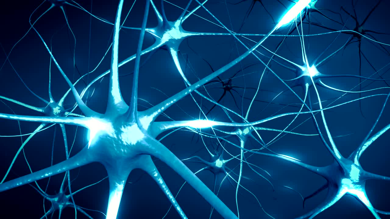 las neuronas en el cerebro. bucle. animación 3d de la red neuronal.