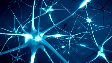 las neuronas en el cerebro. bucle. animación 3d de la red neuronal.