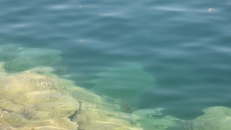 waves gently hitting rocks in clear water