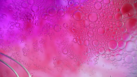 abstract oil drops in colorful water