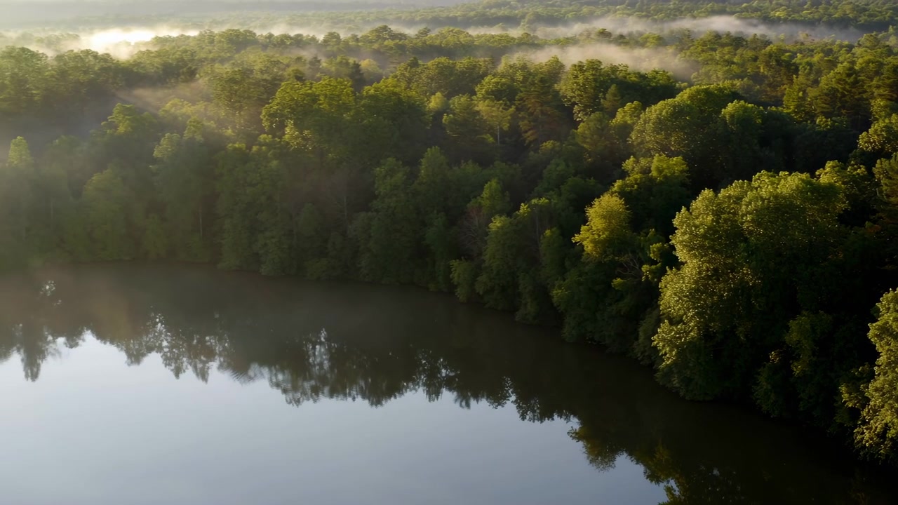 Misty Dawn Aerial Over Forest River, Cinematic Drone Sweep With Soft Sunlight Filtering Through Low Fog,