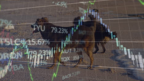 animation of data processing over dogs at beach