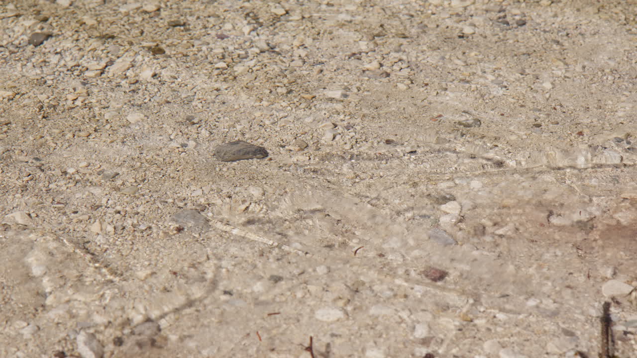 Pebbles On The Shore In The Clear Shallow Lake Water. Close Up