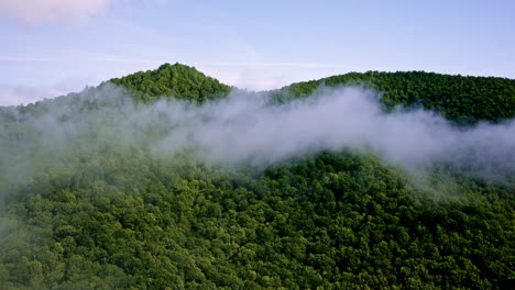 cinematic drone shot of mist drifting over the smoky mountains in the united states