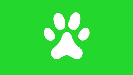 animated animal paw icon. chroma key, green screen background