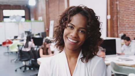 portrait of businesswoman in modern open plan office with business team working in background