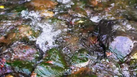 slow motion water flowing over mossy rocks on a river