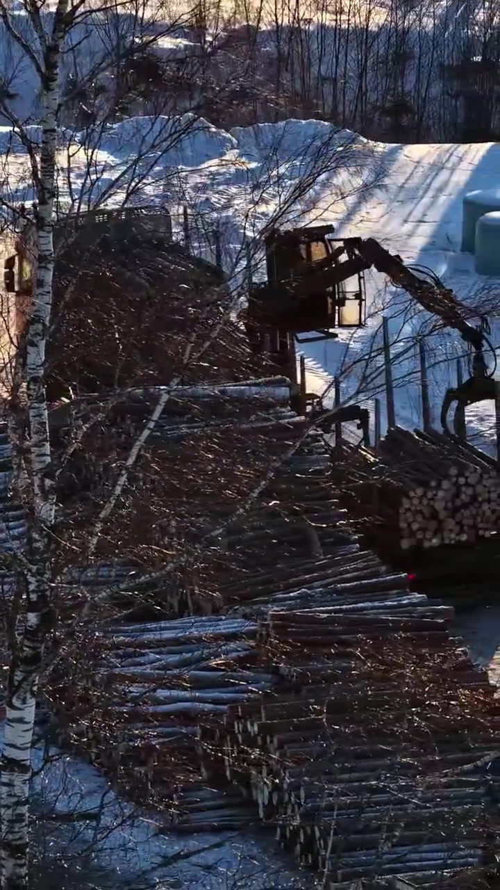 Aerial vertical shot revealing timber logging yard with grapple crane stacking logs amid snow and bare birch trees in winter Latvia