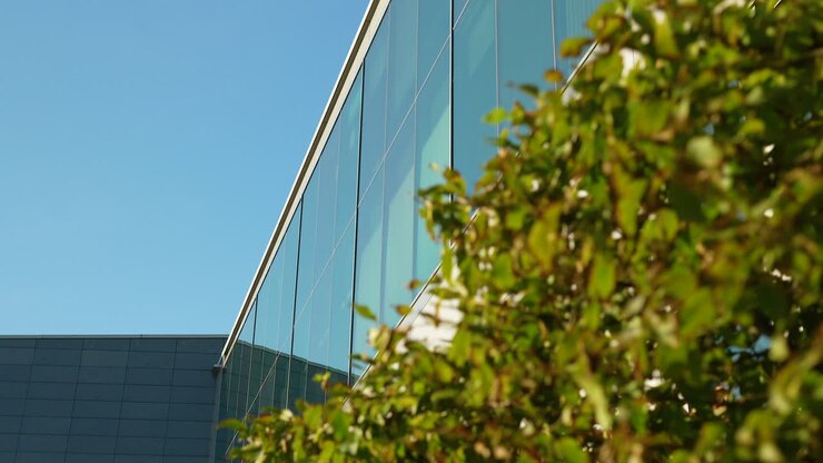Fachada de cristal curvada de un edificio moderno con follaje en primer plano bajo un cielo despejado.