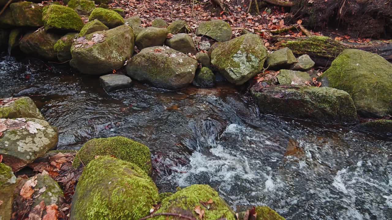 The river in autumn forest and the sun shining through the foliage