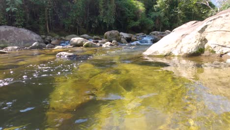 following against the current of crystalline waters of a stream course in angra dos reis