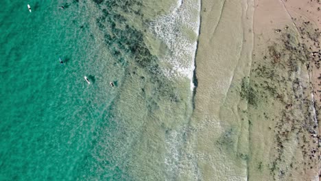 lugar de surf sobre las aguas turquesas de la playa de noosa en queensland, australia
