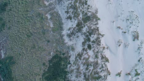 Aerial-flying-backwards-over-Netherlands-coastal-dunes-at-sunset