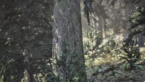mysterious forest landscape bathed in soft sunlight filtering through trees