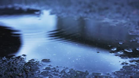 multiple small water drops falling in a puddle on the concrete