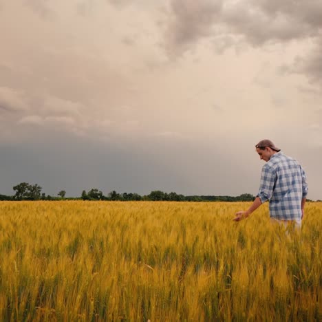 The-Figure-Of-A-Farmer-In-A-Field-Against-The-Background-Of-A-Stormy-Sky