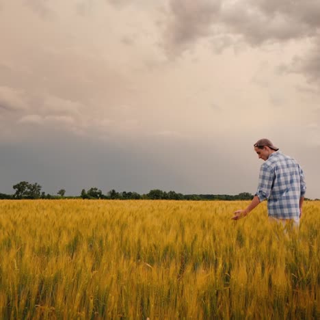 the figure of a farmer in a field against the background of a stormy sky