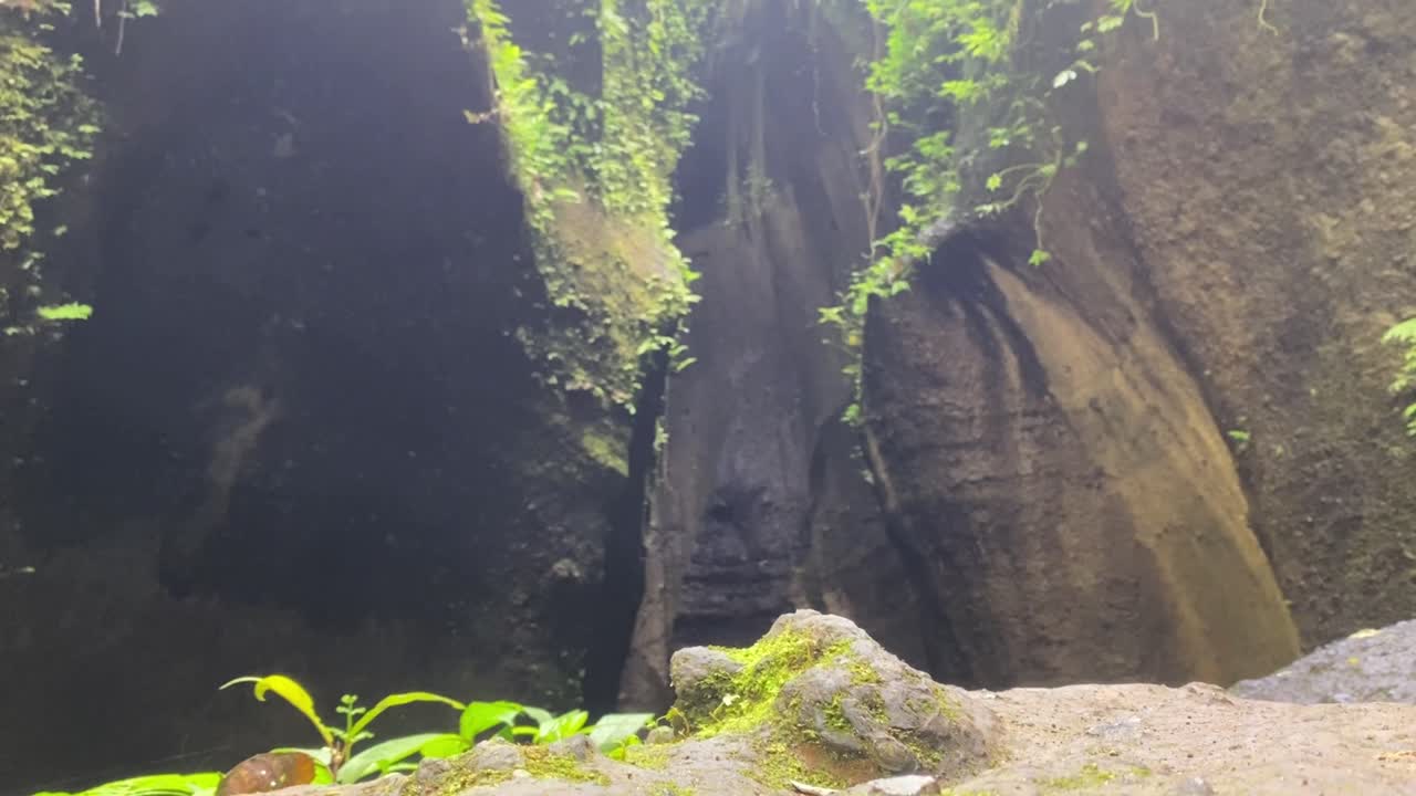 Entrance to a Cave in Bali with Moss and Ivy on the Surrounding Rocks. Low Angle with Slow Tilt Up.